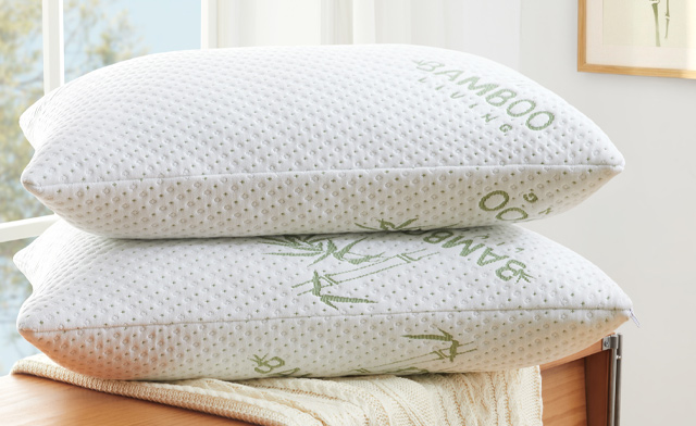 Image of $19.95 for a Bamboo Pillow (a $44.99 Value)