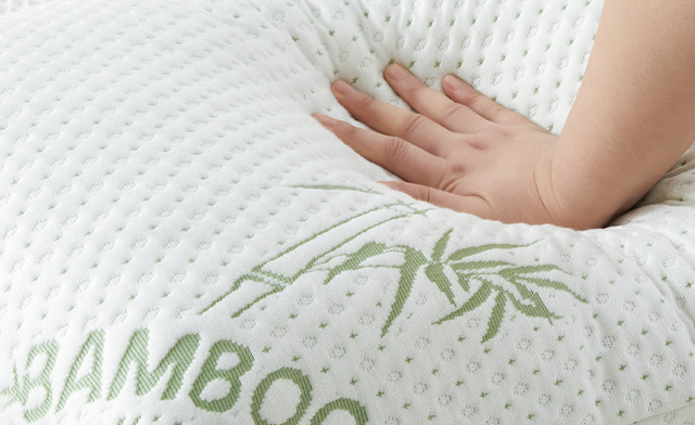 Image of $19.95 for a Bamboo Pillow (a $44.99 Value)