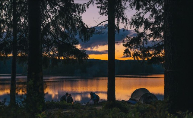 Image of $47 & Up for a 1-Day Outdoor Survival or Foraging Course (6 Locations)