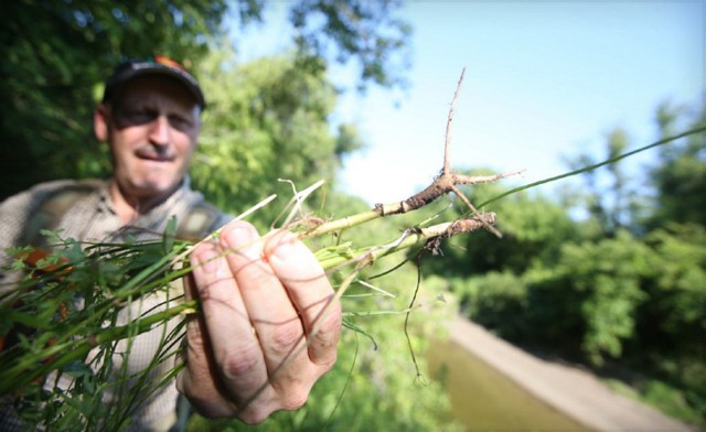 Image of $47 & Up for a 1-Day Outdoor Survival or Foraging Course (6 Locations)