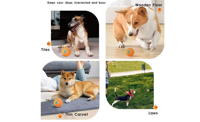 Image of $37.99 for a Smart Automatic Dog Toy Ball (a $79 Value)