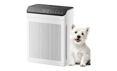 $97.95 for a Large Room Air Purifier with Washable Filters (a $186.46 Value)