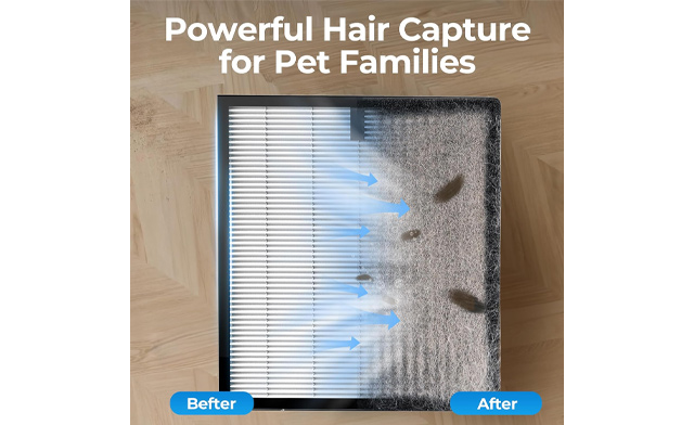 Image of $97.95 for a Large Room Air Purifier with Washable Filters (a $186.46 Value)