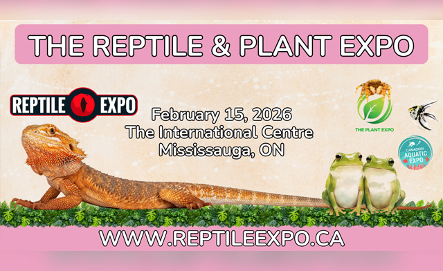 Image of $29 for a Family Pass to the Reptile & Plant Expo: February 15, 2026