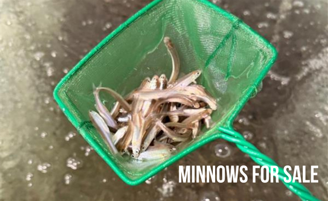 Image of $139 for a Full-Day Ice Fishing Experience for 4 with Equipment (Up to a $240 Value)