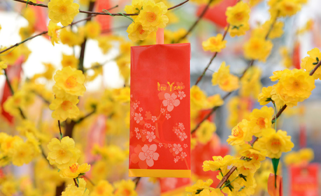 Image of $24 for Two Tickets to TET Lunar New Years Market: February 14-15, 2026