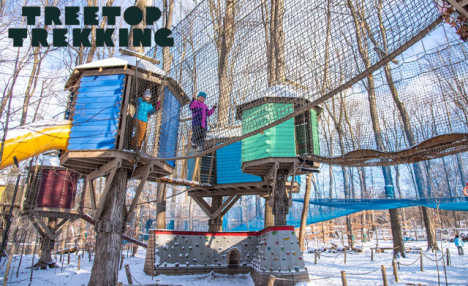$22.59 for Admission to Treetop Trekking: Discovery Course, Treewalk Village, or Treewalk Enchanted