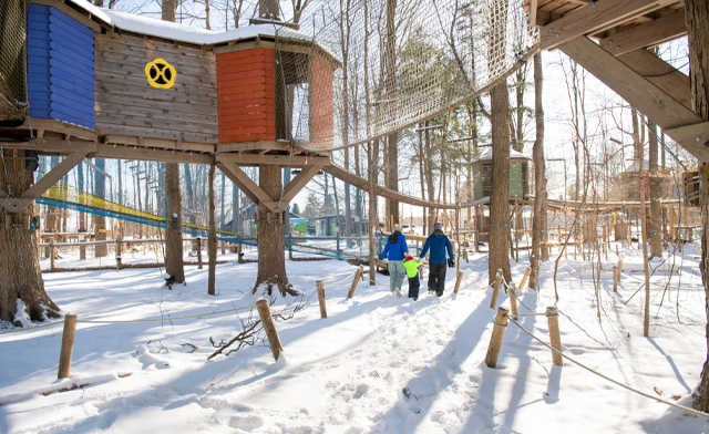 Image of $22.59 for Admission to Treetop Trekking: Discovery Course, Treewalk Village, or Treewalk Enchanted