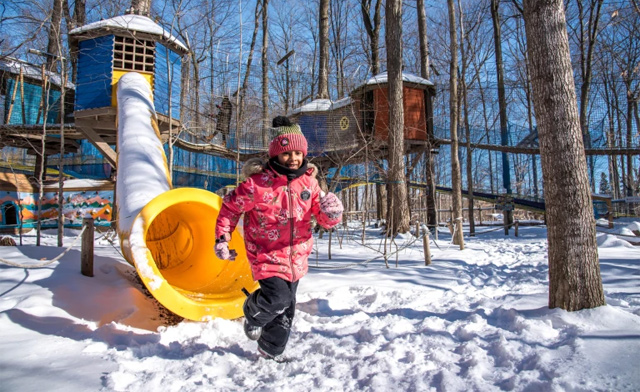 Image of $22.59 for Admission to Treetop Trekking: Discovery Course, Treewalk Village, or Treewalk Enchanted