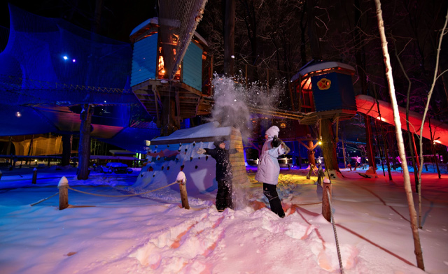 Image of $22.59 for Admission to Treetop Trekking: Discovery Course, Treewalk Village, or Treewalk Enchanted