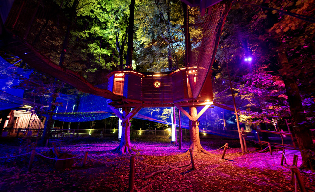 Image of $22.59 for Admission to Treetop Trekking: Discovery Course, Treewalk Village, or Treewalk Enchanted