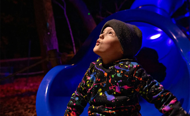 Image of $22.59 for Admission to Treetop Trekking: Discovery Course, Treewalk Village, or Treewalk Enchanted