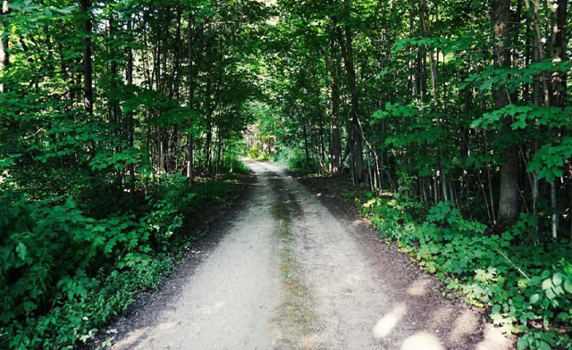 Image of 40% Off a Week of Summer Camp at Bellaleo in Fergus