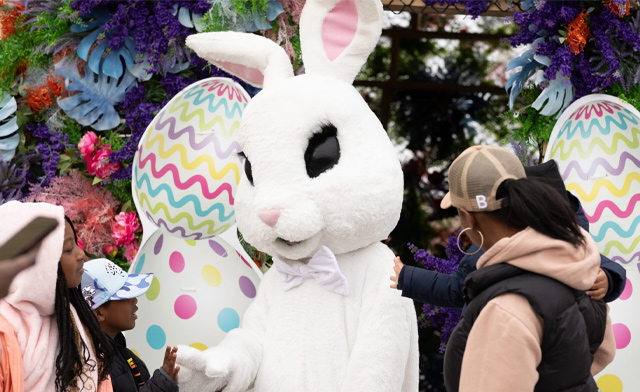 Image of 30% Off Tickets to Easter Fun Fest: April 6, 2026