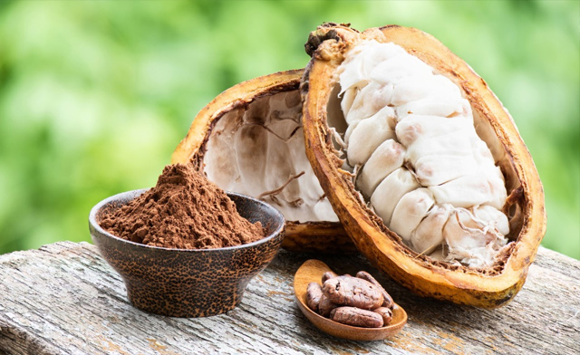 Image of $12.50 & Up for 1-Day and Family Passes to Salon du Chocolat Toronto