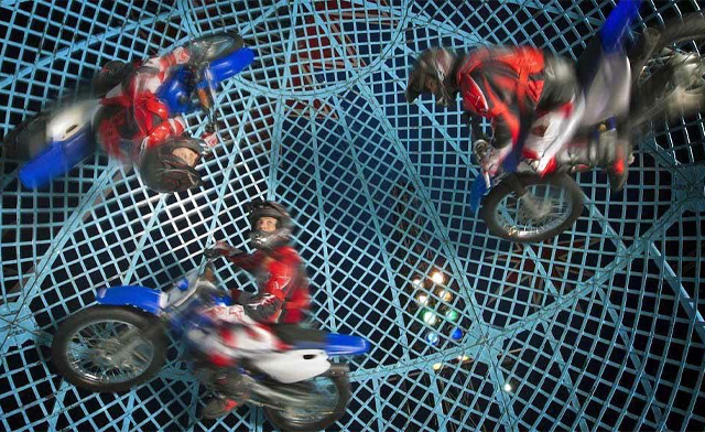 Image of EARLY BIRD! $15 & Up for General or Premium Admission to the Royal Canadian Circus