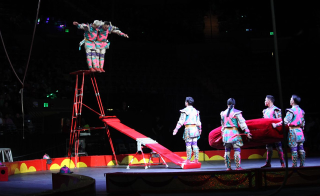 Image of EARLY BIRD! $15 & Up for General or Premium Admission to the Royal Canadian Circus