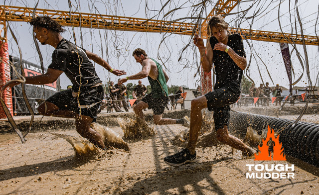 Image of $69 & Up for a 5K or 15K Registration to Tough Mudder Toronto: September 12, 2026