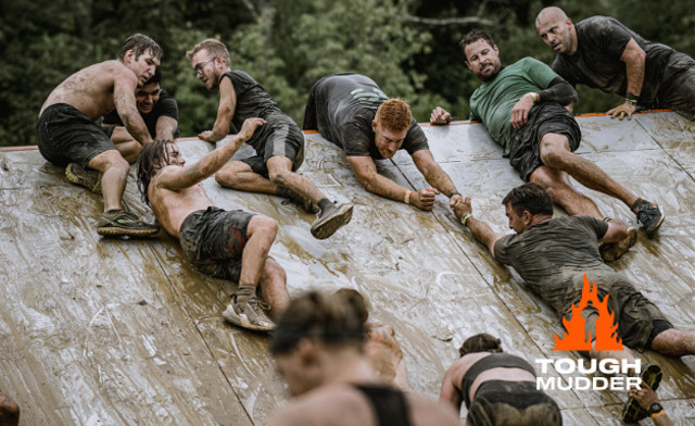 Image of $69 & Up for a 5K or 15K Registration to Tough Mudder Toronto: September 12, 2026