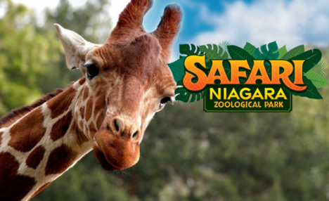 $69 & Up for Admission to Safari Niagara for 2-4 People