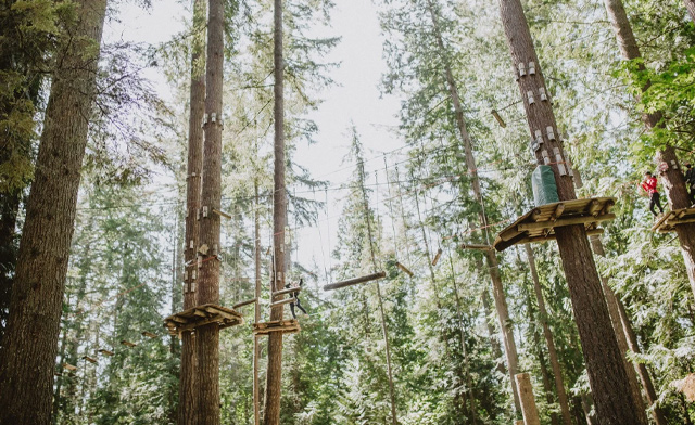 Image of $27 & Up for Adventure Courses at Wildplay Niagara Falls