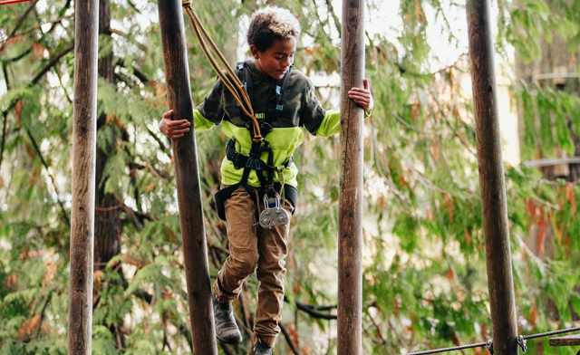 Image of $27 & Up for Adventure Courses at Wildplay Niagara Falls