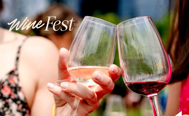 Wine and Drinks Fest