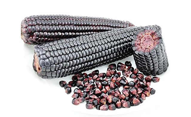 Image of BLOWOUT! $18.99 for 10 kg of Canadian Black Sticky Corn (a $64 Value)