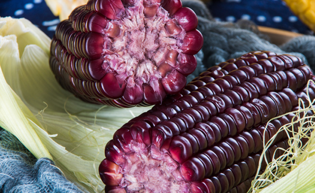 Image of BLOWOUT! $18.99 for 10 kg of Canadian Black Sticky Corn (a $64 Value)