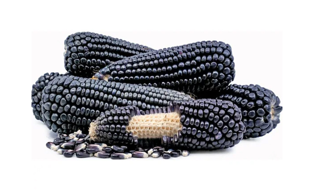 Image of BLOWOUT! $18.99 for 10 kg of Canadian Black Sticky Corn (a $64 Value)