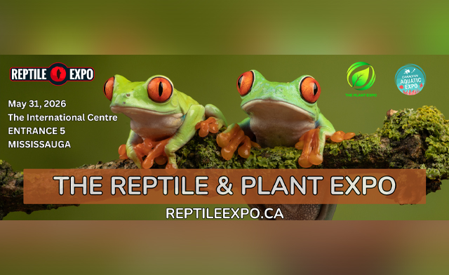 Image of $29 for a Family Pass to the Reptile & Plant Expo: May 31, 2026