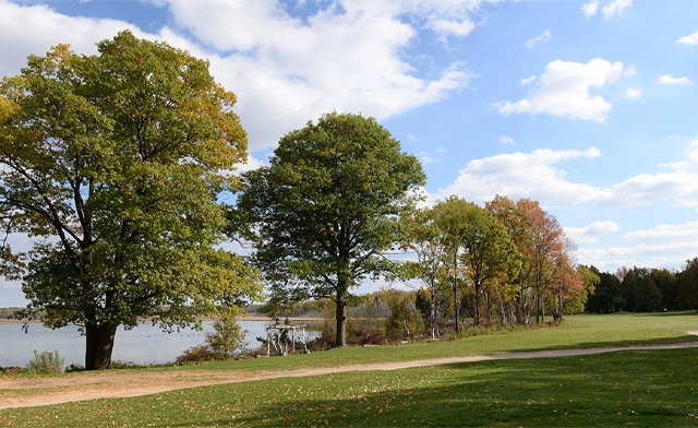 Image of $69 for Golf for 2 with Free Same-Day Replay at Marlwood Golf and Country Club