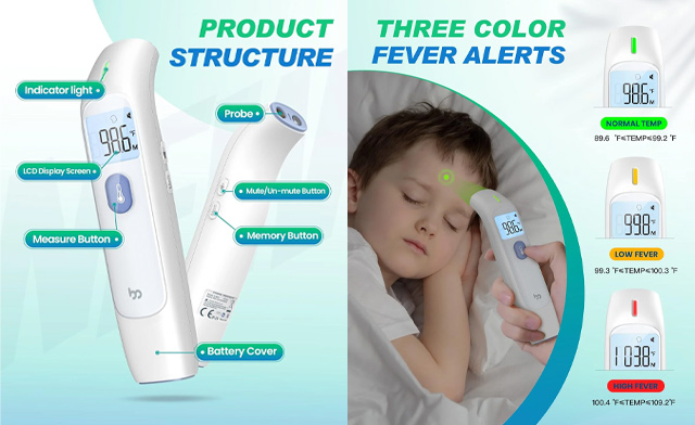 Image of $19.99 for a Digital Baby Thermometer (a $39.99 Value)