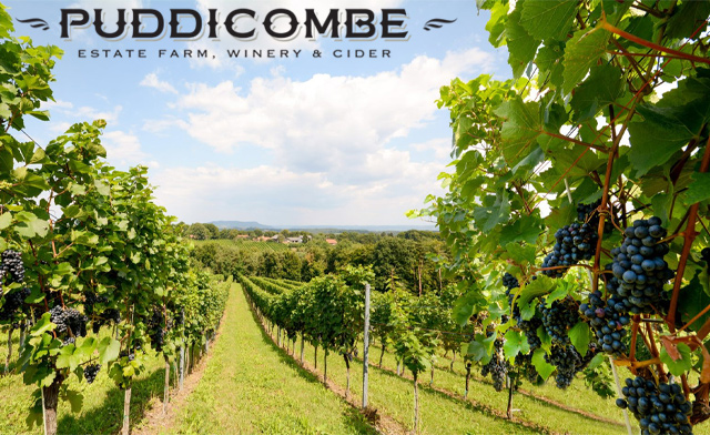 Image of Up to 40% Off Custom Tour Packages + a $10 Gift Certificate at Puddicombe Farms
