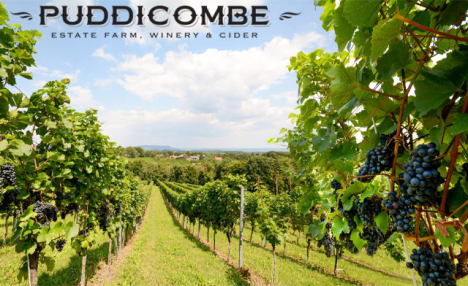 Up to 40% Off Custom Tour Packages + a $10 Gift Certificate at Puddicombe Farms