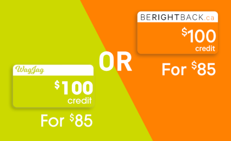 Up to $200 in WagJag Credit - 72 Hour Sale!