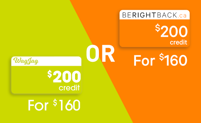 Image of Up to $200 in WagJag Credit - 72 Hour Sale!