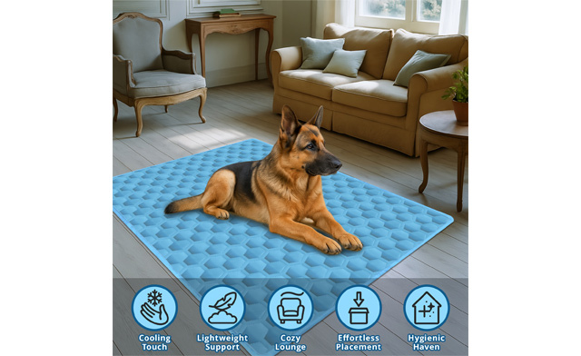 Image of $21.95 for a Cooling Pet Pad (a $39.99 Value)
