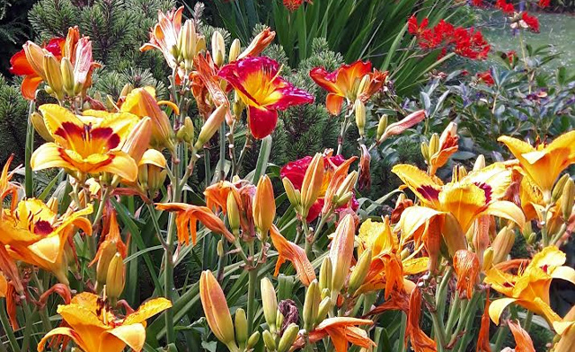 Image of Up to 23% Off Admission to Whistling Gardens