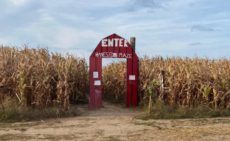 $18.50 & Up for Day Passes to Hanes Corn Maze