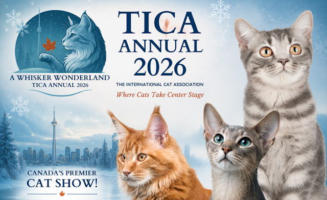 Image of $12 & Up for General Admission or Family Pass to the TICA Annual 2026 Cat Show