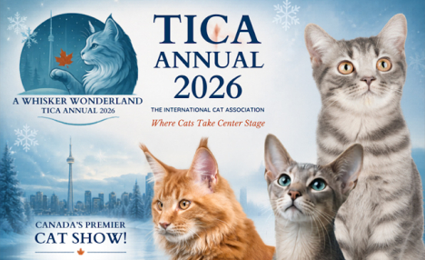 $12 & Up for General Admission or Family Pass to the TICA Annual 2026 Cat Show