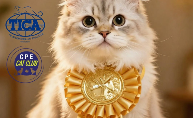 Image of $12 & Up for General Admission or Family Pass to the TICA Annual 2026 Cat Show