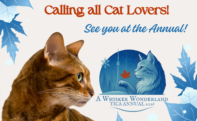 Image of $12 & Up for General Admission or Family Pass to the TICA Annual 2026 Cat Show