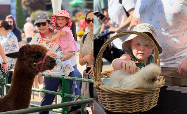 Image of $10 & Up for Admission to Kinderfest Fall Festival