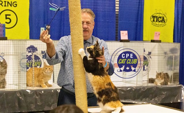 Image of $29 & Up for 2 Tickets or a Family Pass to the Canadian Pet Expo: September 19 & 20, 2026