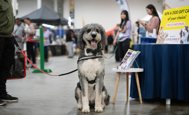 Image of $29 & Up for 2 Tickets or a Family Pass to the Canadian Pet Expo: September 19 & 20, 2026