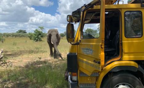 Nairobi to Cape Town: 76 Days Grand Adventurer