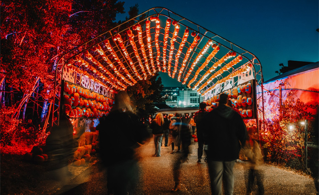Image of $19.50 & Up for Tickets to Pumpkins After Dark (3 Locations Available)