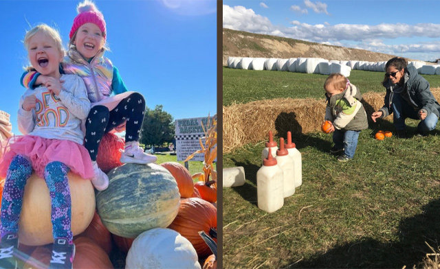 Image of 30% Off Admission to Fall Fun at Rounds Ranch